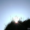 dsc05231.jpg