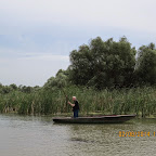 IMG_5229.JPG
