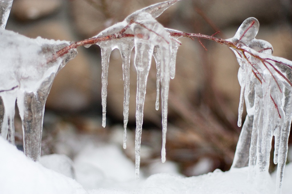 [20130105-IMG_5875-24.jpg]