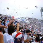 telon19.jpg