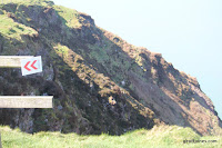 IMG_6020.JPG Photo