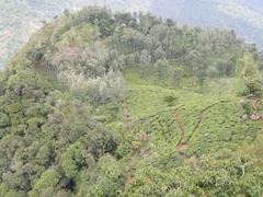DSCN0294 DSCN0294