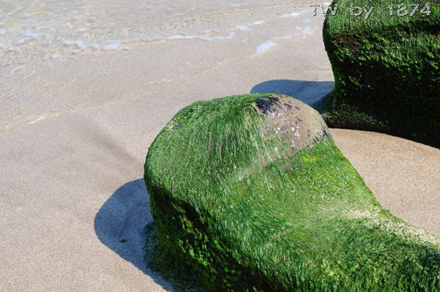 [DSC_5993%255B8%255D.jpg]