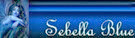 signature (1) signature (1)