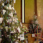 P1210528.JPG