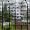 DSCN7934.JPG