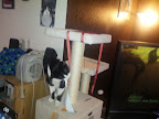 IMG_20121227_130254.jpg