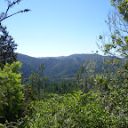 P1000784.JPG