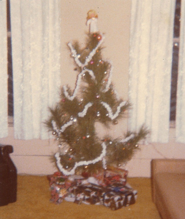 [tree%255B3%255D.jpg]