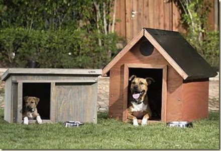 casas para perros-f