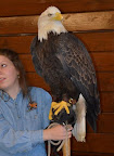 DSC_0113.JPG