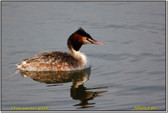 Draycote Waters - March