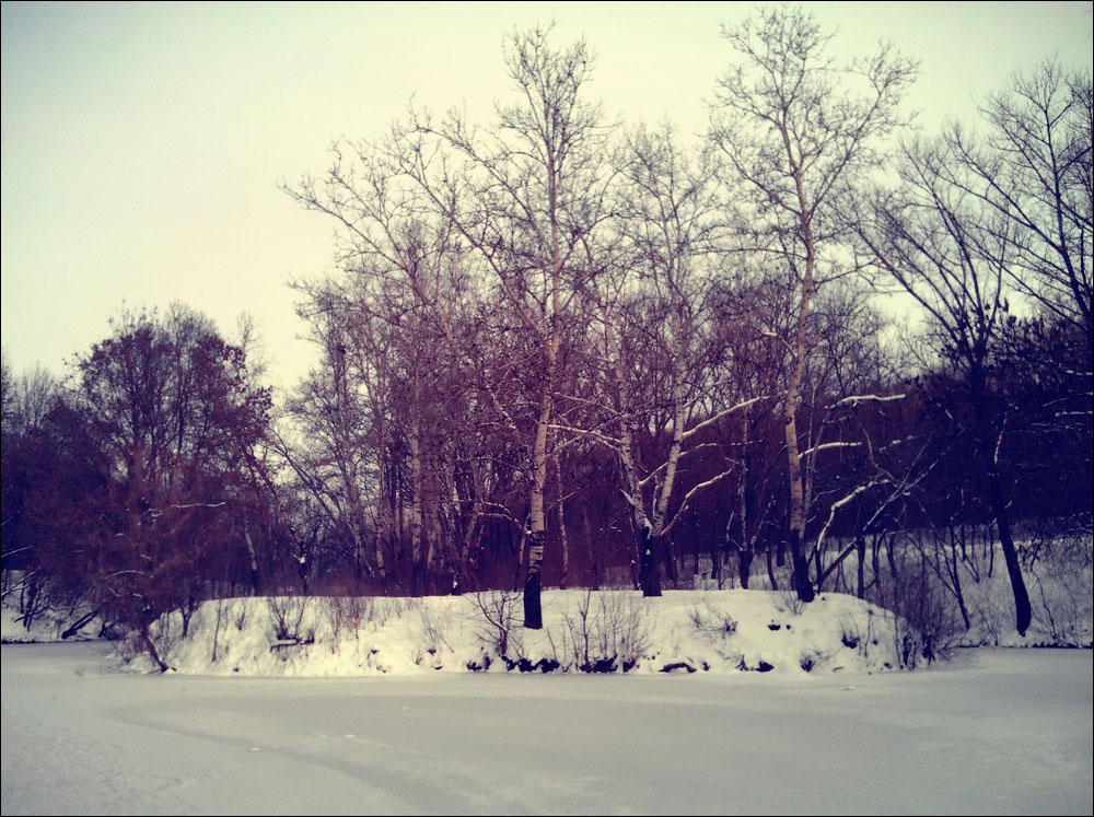 IMAG0157.jpg