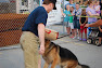 K9 Dog \