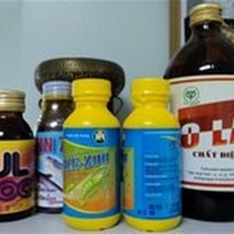 Vasep tính kiện cơ quan cấp phép nhập khẩu hóa chất cấm