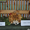 DSC_0157-MOTION.gif