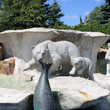 Toledo Zoo 2011