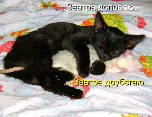 [kotomatritsa_H0%255B3%255D.jpg]