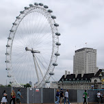london eye in London, United Kingdom 