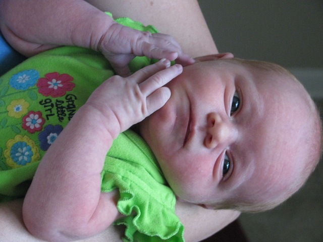 [IMG_3112%255B2%255D.jpg]