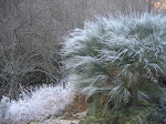 Decembro 07 013.jpg