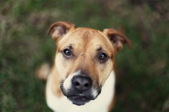 [Gracie%2520and%2520Cooper%2520Feb%252022%2520036-1%255B4%255D.jpg]