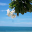 Thaïlande - Khanom