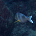 Pc307073