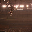 IMG_3516.JPG