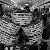 Shanghai - Marché poisson - Chargement de crustacés