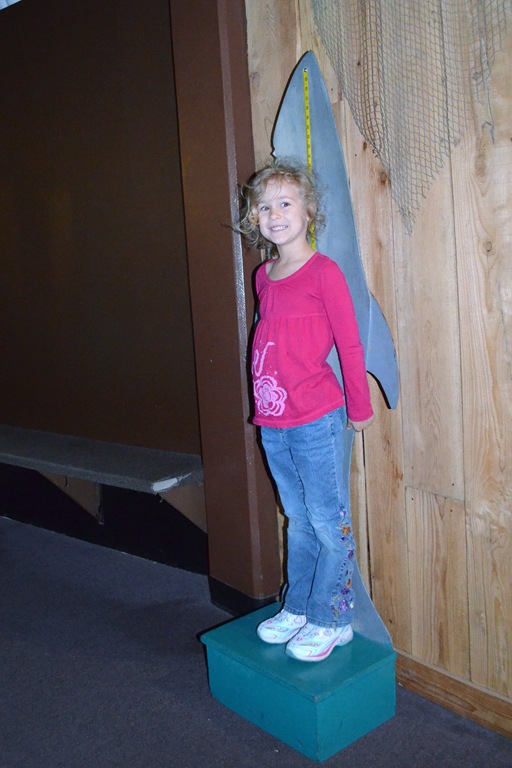 [DSC_0495%255B6%255D.jpg]