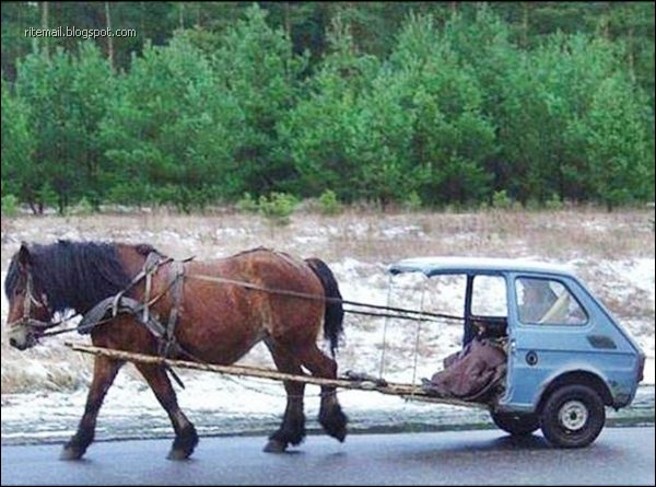 Some Scenes Cant Be Seen Everyday