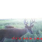 MDGC0559.JPG