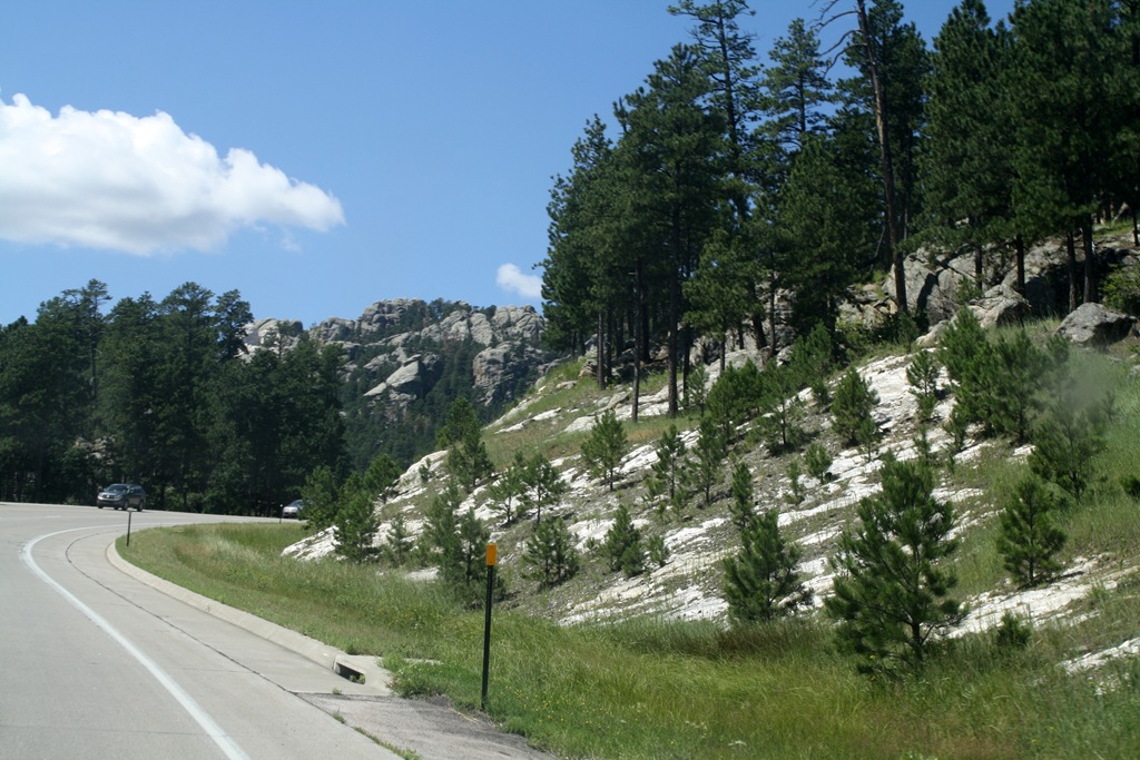 [Mt-Rushmore-and-Bear-Country-0074.jpg]