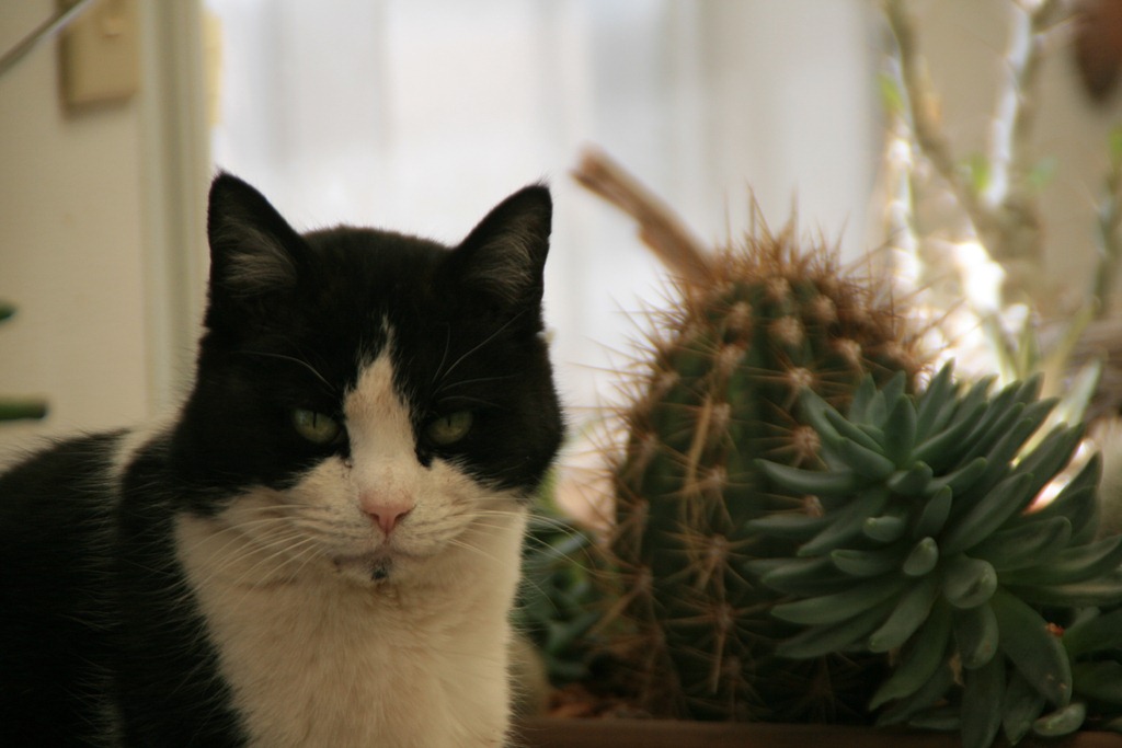 [IMG_6793%255B4%255D.jpg]