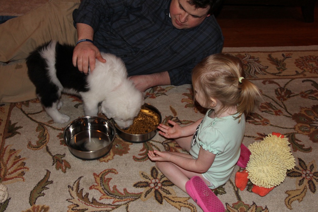 [IMG_1341e%255B5%255D.jpg]