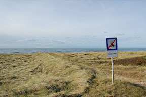 DSC_0332.JPG
