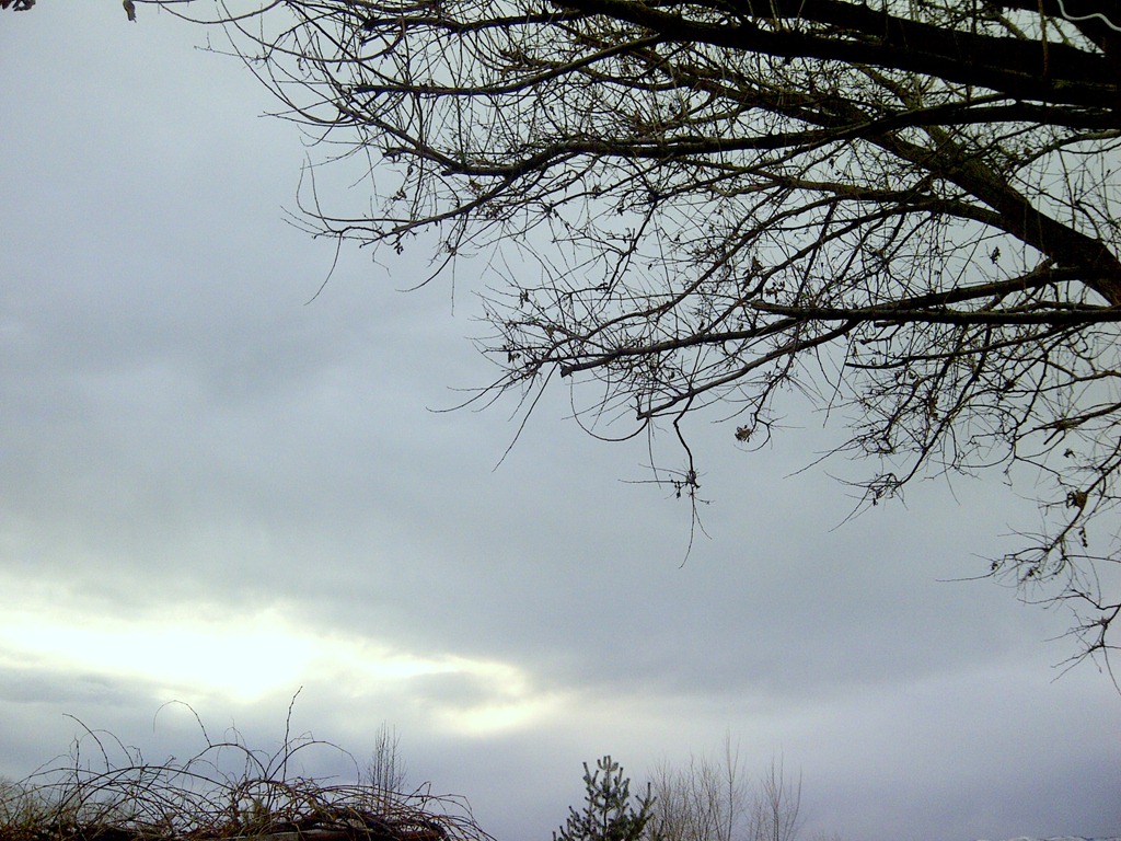 [IMG-20120201-02541%255B4%255D.jpg]