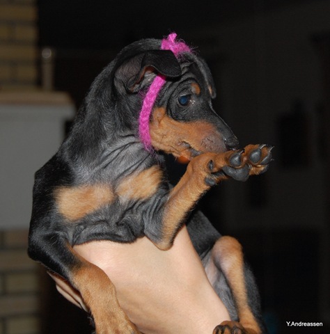 [DSC_7270%255B3%255D.jpg]