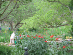Looking at the old-fashioned garden. This is the kind of scene everyone dreams of recreating in their own garden - tons of flowers for a super colorful, romantic effect.