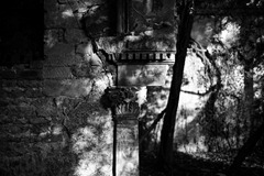 Nettleham Hall 14 - Film