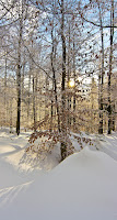 IMG_7432.jpg Photo