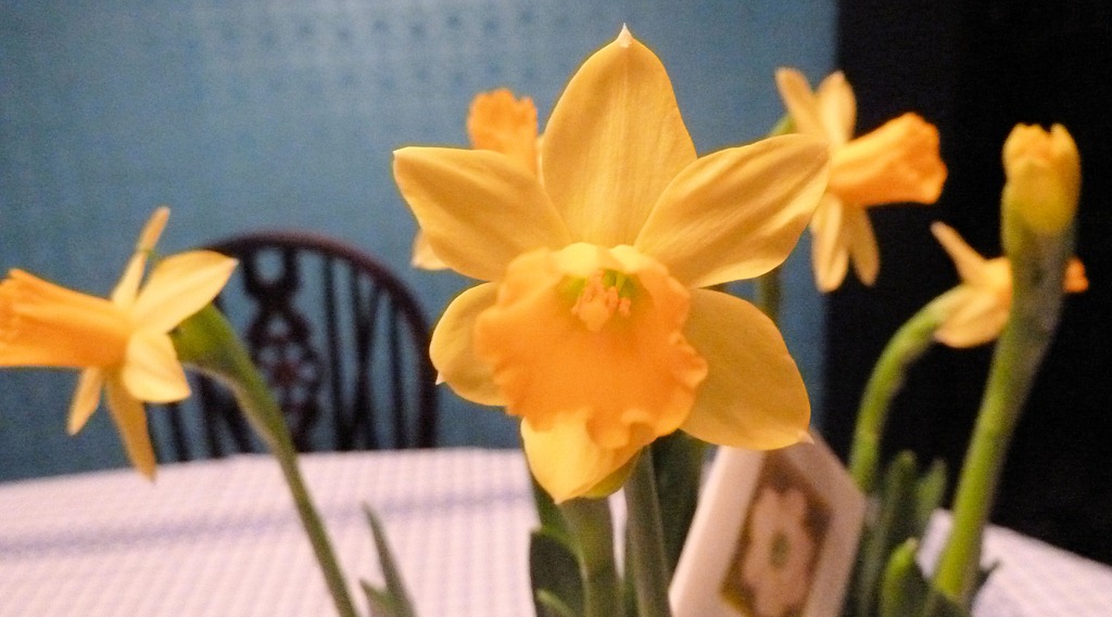 [2013-daff%255B5%255D.jpg]