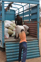Unloading the first 50 gunny sacks of maize.