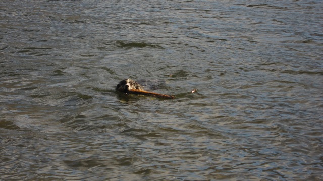 [IMG_58823.jpg]