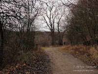 dsc05353.jpg