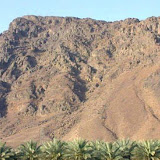 60156.gif