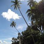 Beach at Mimpi Indah, Banga Island