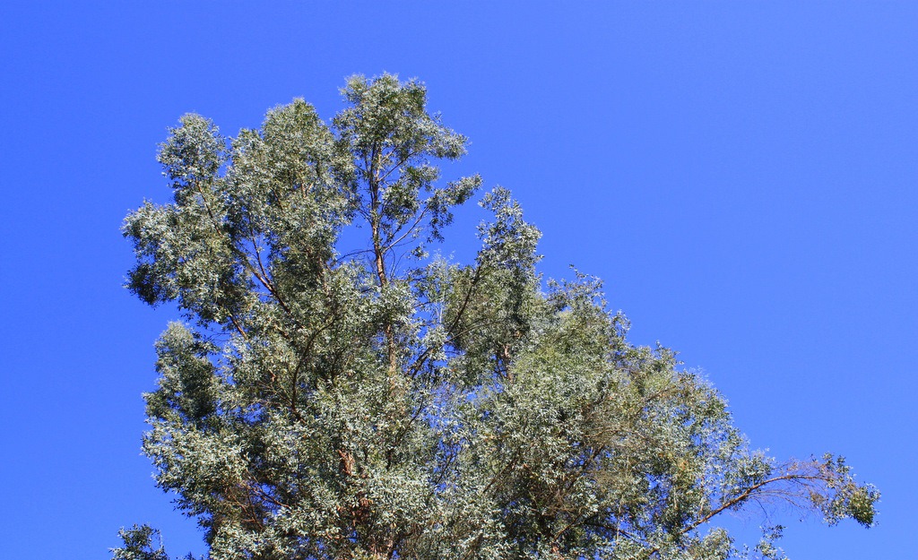 [IMG_35663.jpg]