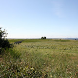 IMG_8216.JPG